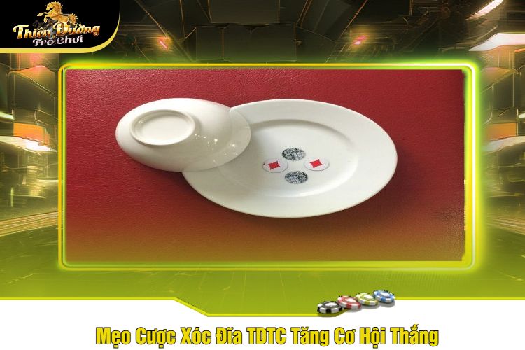 Bí kíp đặt cược Xóc đĩa TDTC chuẩn xác đang được newbie truyền tai