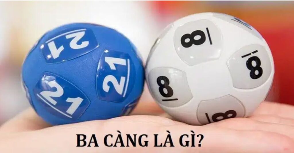 3 càng là gì