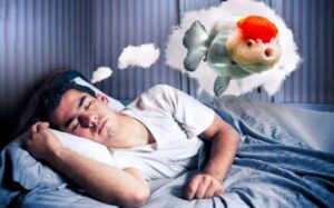mơ thấy cá đánh con gì chuẩn xác